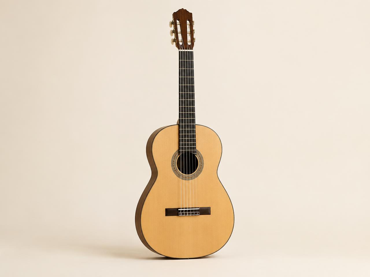 JMI Guitar One